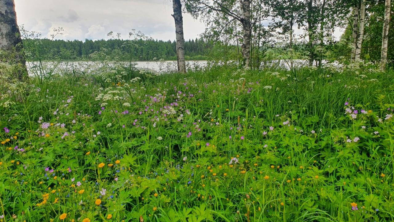 Viihtyisae Kolmio Jaerven Rannalla Haapavesi Extérieur photo